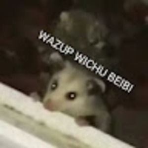 Meet your Posher, Joe